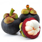 mangosteen (2)