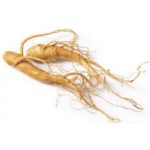 Ginseng